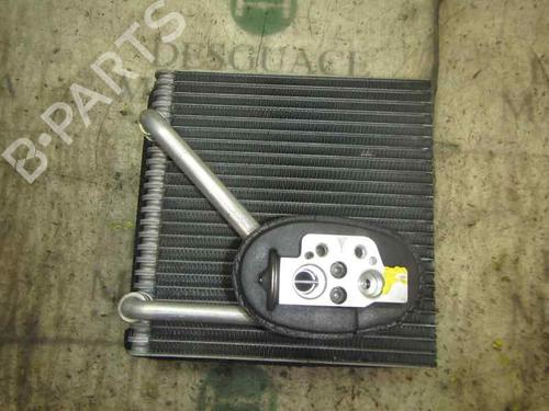 Air conditioning evaporator VW PASSAT B6 Variant (3C5) 1.9 TDI (105 hp) 11643692