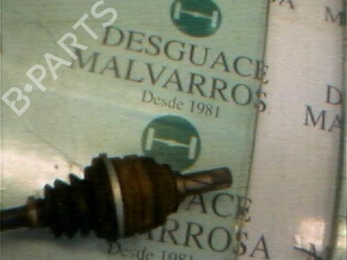  - Image 3