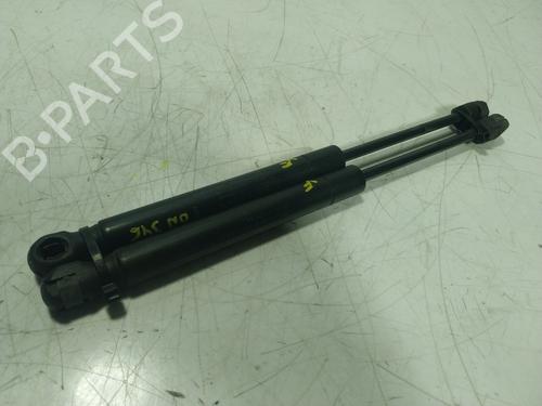 Hood lift support LAND ROVER RANGE ROVER EVOQUE (L538) 2.2 D 4x4 | BP19533862C139 