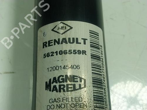 Left rear shock absorber DACIA DOKKER Box Body/MPV  | BP17957119M18 
