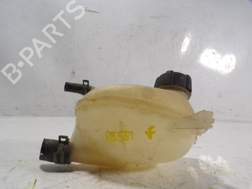 Expansion tank DACIA SANDERO II 1.2 | BP8912991C120