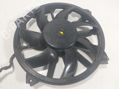 Used Radiator fan Radiator fan CITROËN C4 II (NC_) 1.2 THP 110 (NCHNZ6, NCHNV6) (110 hp) 17029313 17029313