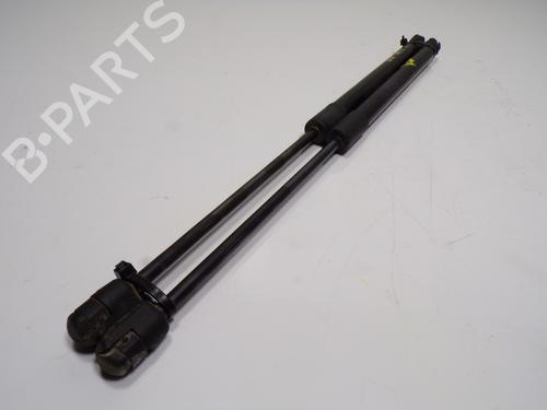 Tailgate lift support HYUNDAI i20 II (GB, IB) 1.2 | BP14287946C138 