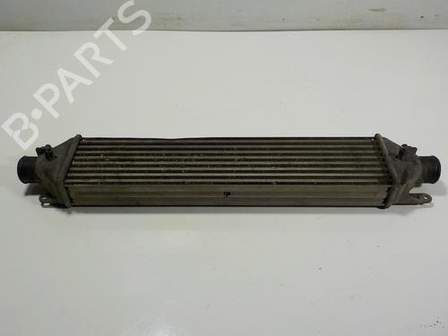 Used Intercooler Intercooler OPEL COMBO Tour (X12) [2012-2026] 13095256 13095256
