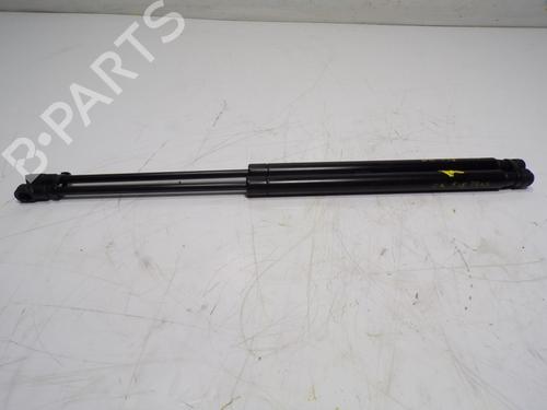 Used Tailgate lift support FIAT 500 (312_) 1.2 (312AXA1A) (69 hp) 14288239