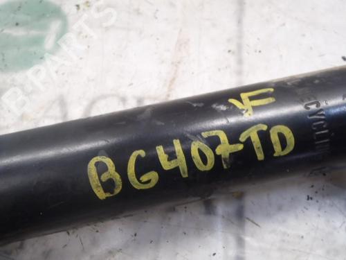 Right rear shock absorber RENAULT MEGANE II (BM0/1_, CM0/1_) 2.0 dCi (BM1K, CM1K) | BP3831441M19 