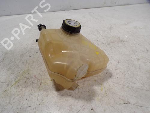 Ekpansionstank FORD TOURNEO COURIER B460 MPV 1.0 EcoBoost (100 hp) 7302207