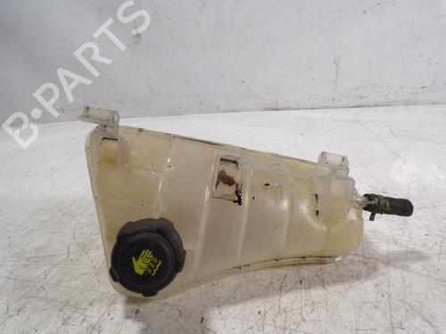 Used Expansion tank RENAULT KANGOO / GRAND KANGOO II (KW0/1_) [2008-2025]  8892665