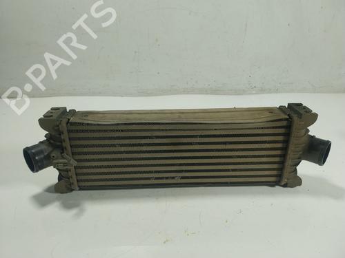 Used Intercooler Intercooler FORD TRANSIT CUSTOM V362 Van (FY, FZ) 2.2 TDCi (100 hp) 22767255 22767255