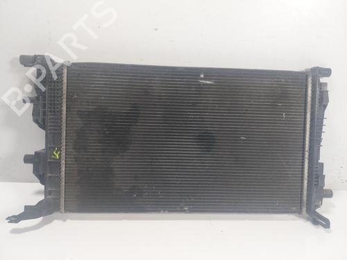 Køler RENAULT SCÉNIC III (JZ0/1_) 1.2 TCe (116 hp) 22202174