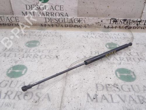 Used Tailgate lift support Tailgate lift support FIAT PANDA (169_) 1.3 D Multijet (169.AXC1A) (70 hp) 14273310 14273310