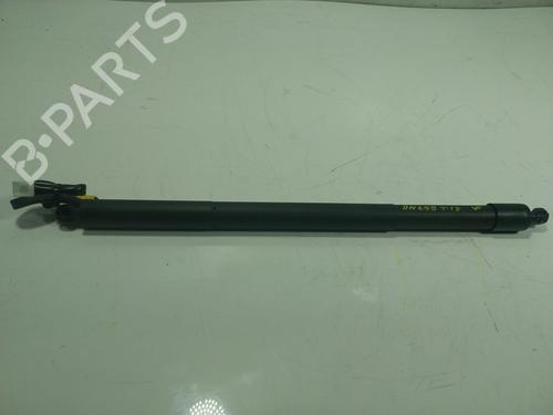 Gassdemper Bakluke TOYOTA RAV 4 V (_A5_, _H5_) [2018-2025]  17801481