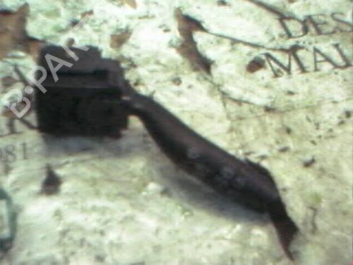 Used Steering column stalk Steering column stalk HONDA CIVIC VII Hatchback (EU, EP, EV) 1.6 i (EP2, EU8, EU6) (110 hp) 3786861 3786861