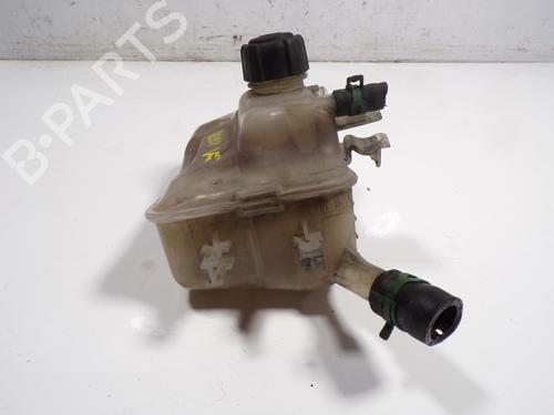 Expansion tank RENAULT MEGANE III Coupe (DZ0/1_)  | BP8856880C120 