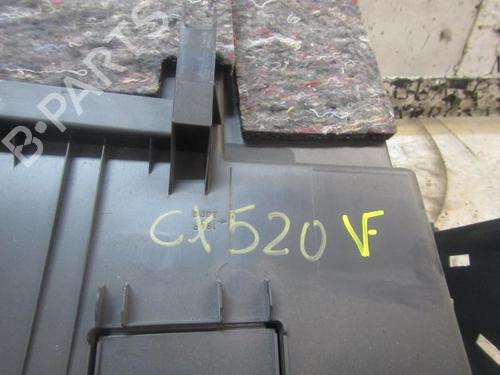 Glove box RENAULT CLIO III (BR0/1, CR0/1)  | BP3840960C95 