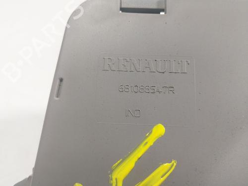 Glove box RENAULT ZOE (BFM_)  | BP18293489C95 