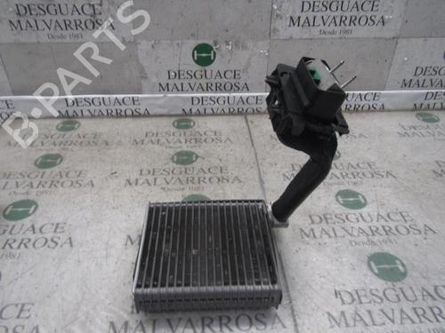 Used Air conditioning evaporator FIAT BRAVO II (198_) 1.9 D Multijet (198AXC1B) (150 hp) 11643500