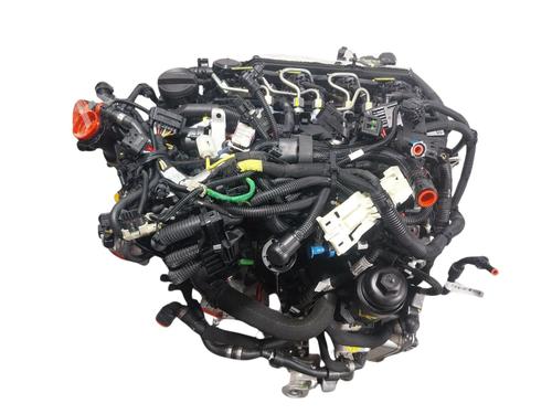 Engine BMW X4 (G02, F98) xDrive 20 d Mild-Hybrid | BP29430080M1 