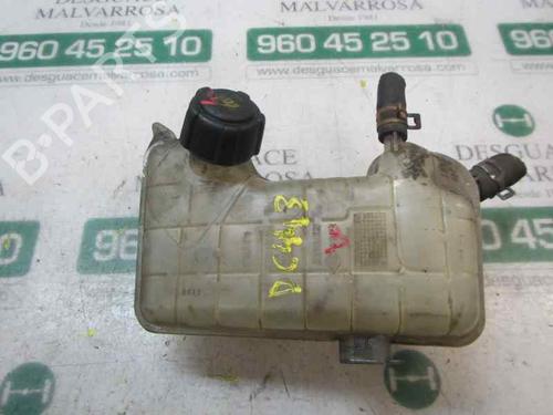 expansion-tank-renault-scenic-ii-jm01_-2003-2004-2005-2006-2007-2008-2009-2010-3875506 main image