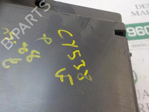 Glove box RENAULT CLIO III (BR0/1, CR0/1)  | BP3866558C95 