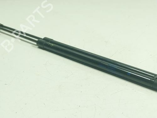 Tailgate lift support NISSAN JUKE (F15) 1.6 | BP25031438C138 