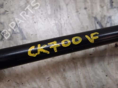 Tailgate lift support OPEL CORSA D (S07) 1.2 (L08, L68) | BP14273216C138 