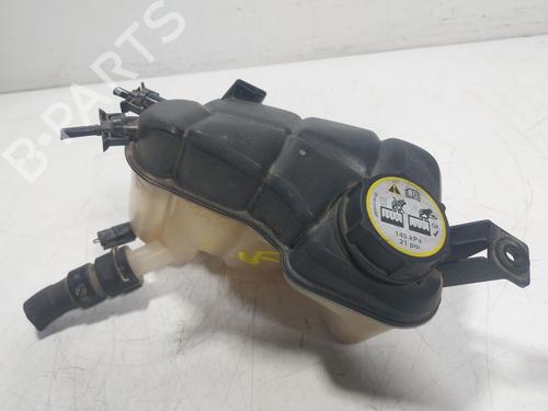 Used Expansion tank LAND ROVER RANGE ROVER EVOQUE (L538) 2.2 D 4x4 (150 hp) 19533883