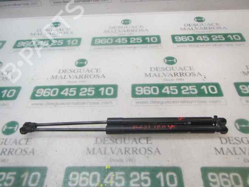 Used Tailgate lift support RENAULT CLIO IV (BH_) [2012-2021]  14282792