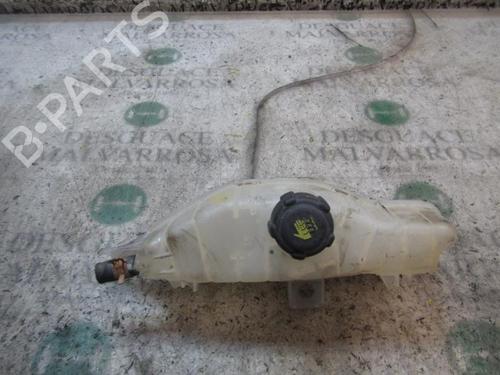 Used Expansion tank RENAULT CLIO III (BR0/1, CR0/1) [2005-2014]  3841250