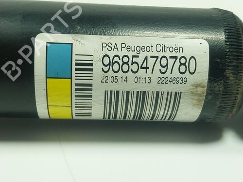 Left rear shock absorber CITROËN C3 II (SC_) 1.4 HDi 70 (SC8HZC, SC8HR0, SC8HP4) | BP17863210M18 