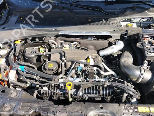 - Image 7