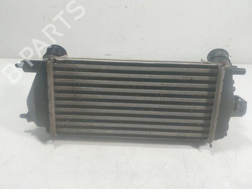 Intercooler FORD TOURNEO COURIER B460 MPV 1.0 EcoBoost | BP16871142M30