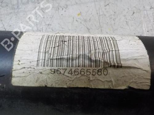 Left rear shock absorber CITROËN C-ELYSEE (DD_)  | BP3873167M18 