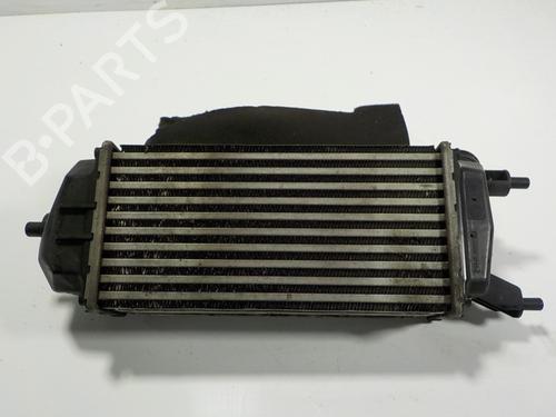 Intercooler FORD ECOSPORT  | BP12108159M30 