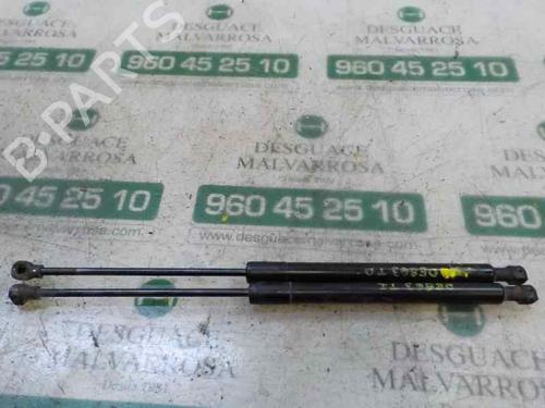 Tailgate lift support DACIA SANDERO II 1.2 | BP14284273C138 