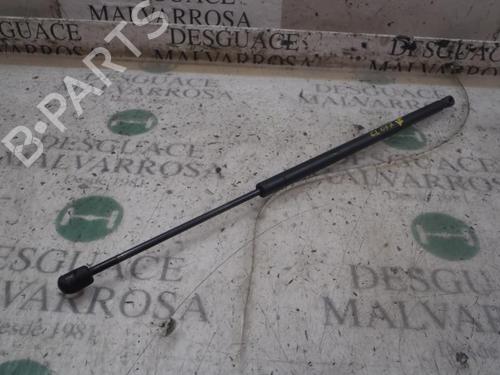 Gassdemper Bakluke FORD FIESTA V (JH_, JD_) [2001-2014]  14273136
