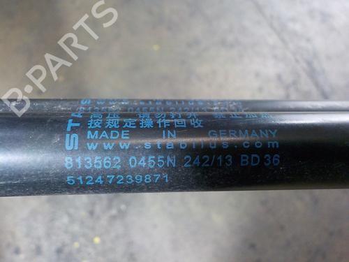 Tailgate lift support BMW 1 (F20)  | BP14289234C138