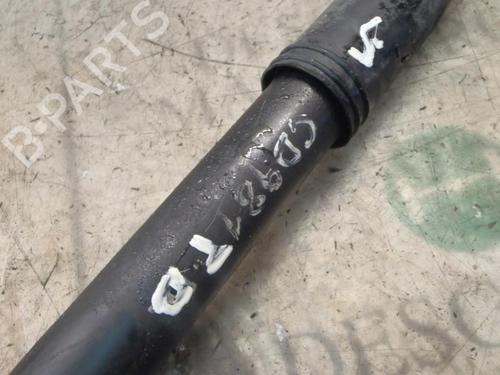 Højre bagtil støddæmper FIAT PUNTO (188_) 1.3 JTD 16V | BP3815214M19 