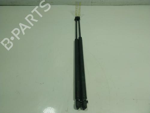 Used Tailgate lift support LAND ROVER RANGE ROVER SPORT I (L320) 3.6 D 4x4 (272 hp) 17042590