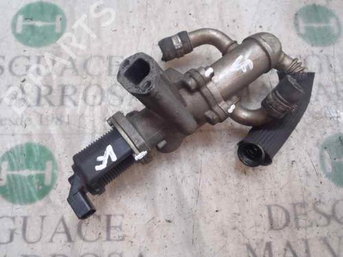 Used Egr Egr FIAT PANDA Hatchback Van (169_) 1.3 D Multijet (75 hp) 3822179 3822179