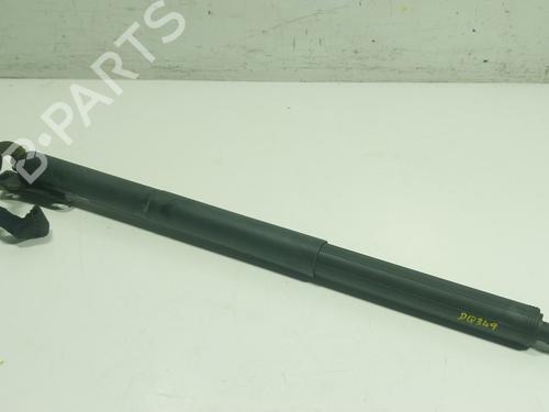 Tailgate lift support BMW X1 (F48) xDrive 20 d | BP29525606C138 
