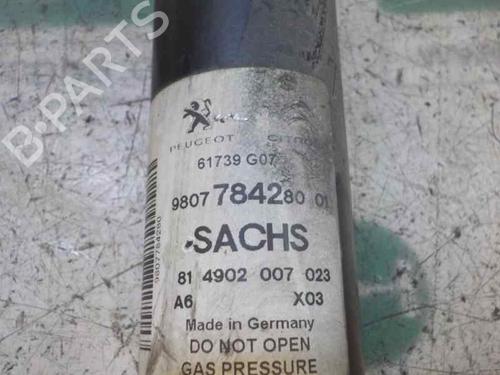 Left rear shock absorber CITROËN DS5  | BP6131879M18
