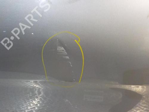 Left rear door MERCEDES-BENZ R-CLASS (W251, V251)  | BP3869435C4 