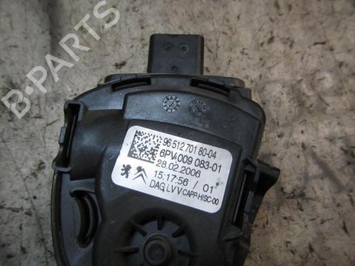 Pedal PEUGEOT 207 (WA_, WC_) 1.6 HDi | BP3840895I4 