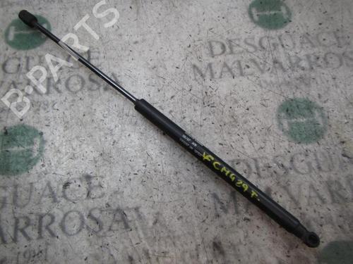 Used Tailgate lift support FIAT BRAVO II (198_) 1.9 D Multijet (198AXB1A) (120 hp) 14273590