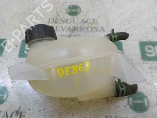 Expansion tank DACIA SANDERO II 1.2 (75 hp) 217104354R