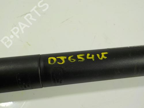 Tailgate lift support BMW 2 Gran Tourer (F46) 218 d | BP14287887C138 