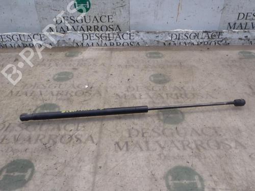 Used Tailgate lift support FORD FOCUS C-MAX (DM2) 1.8 TDCi (115 hp) 14268629
