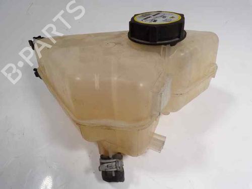 Expansion tank FORD FIESTA VI (CB1, CCN) 1.4 TDCi | BP6794459C120 