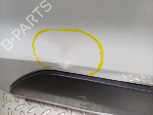 Left front door FORD TRANSIT CONNECT V408 Box Body/MPV  | BP24665052C2 